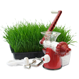 Hand Wheatgrass Juicer Icon 256x256 png